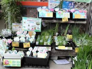 2013043014180000.jpg