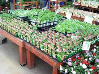 2013051215240000.jpg
