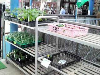 2013051916090000.jpg
