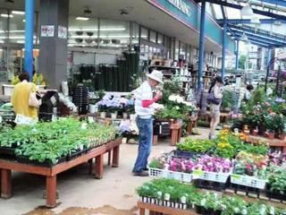 2013051916110000.jpg