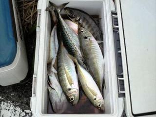 2013061512240000.jpg