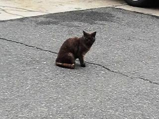2013061512240001.jpg