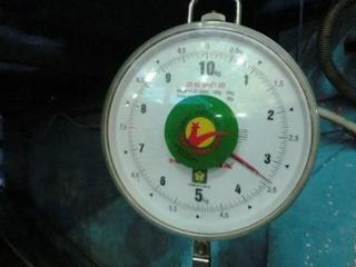 3.5kg.JPG